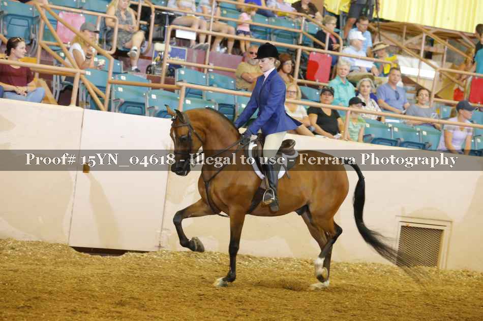 Proof 15YN_04618