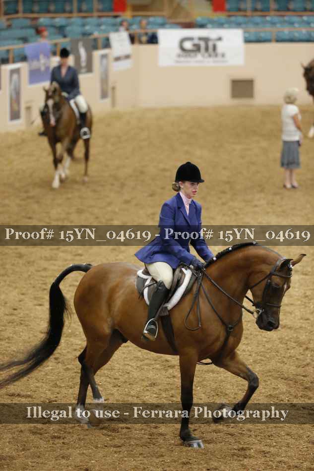 Proof 15YN_04619