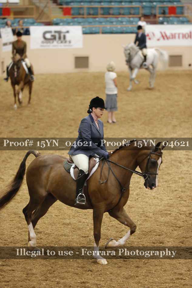 Proof 15YN_04621