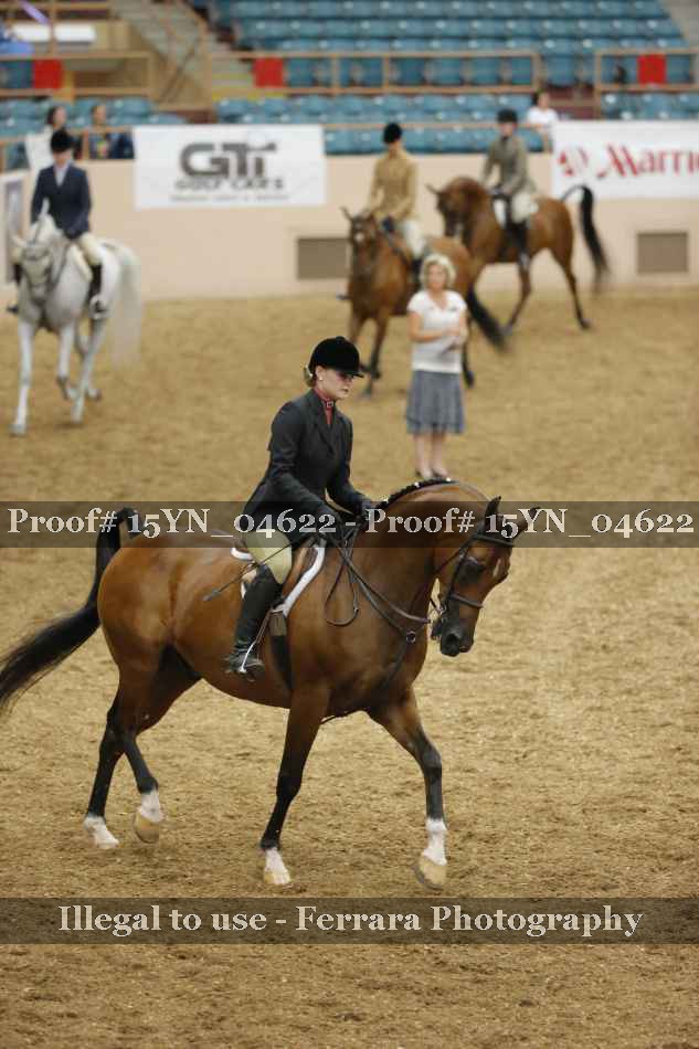 Proof 15YN_04622