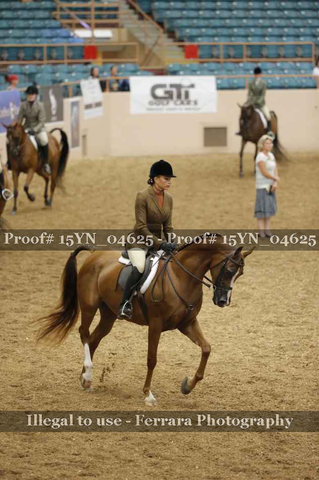 Proof 15YN_04625