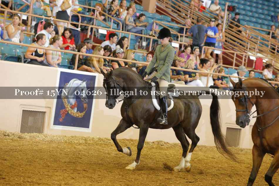 Proof 15YN_04626