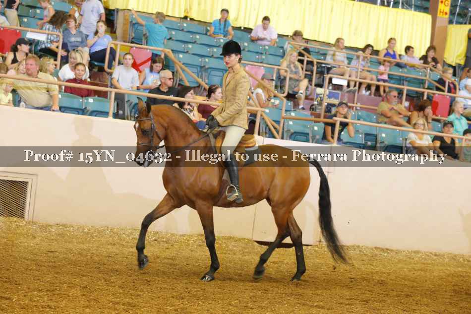Proof 15YN_04632