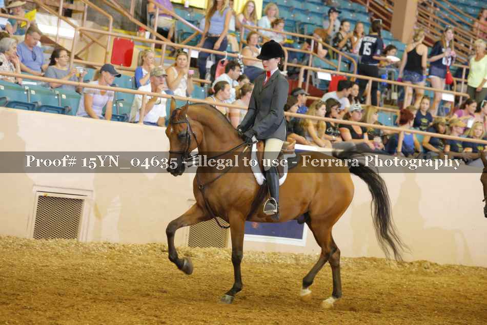 Proof 15YN_04635