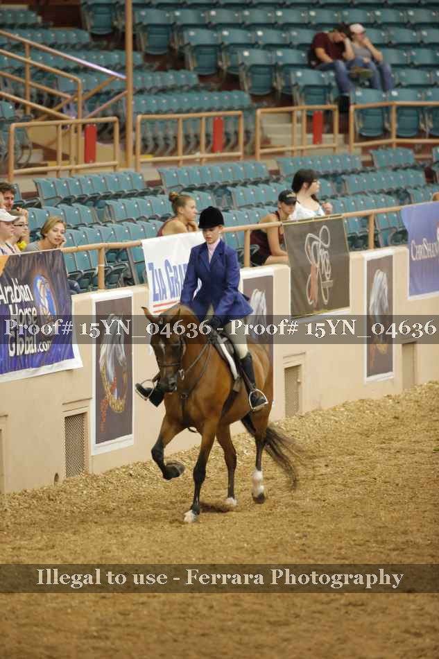 Proof 15YN_04636