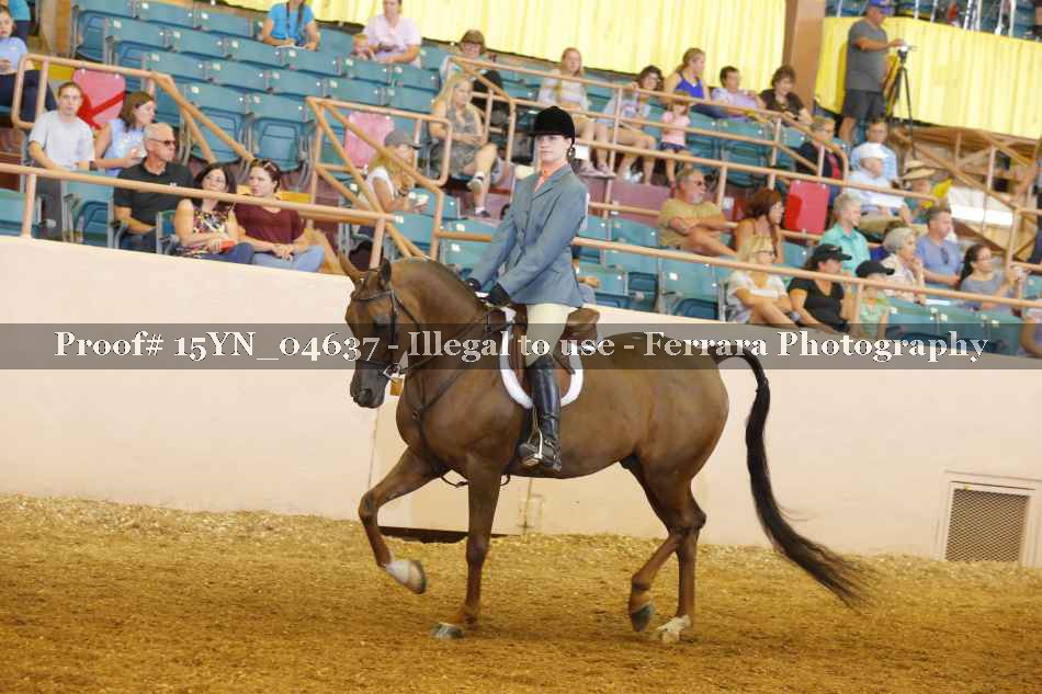 Proof 15YN_04637