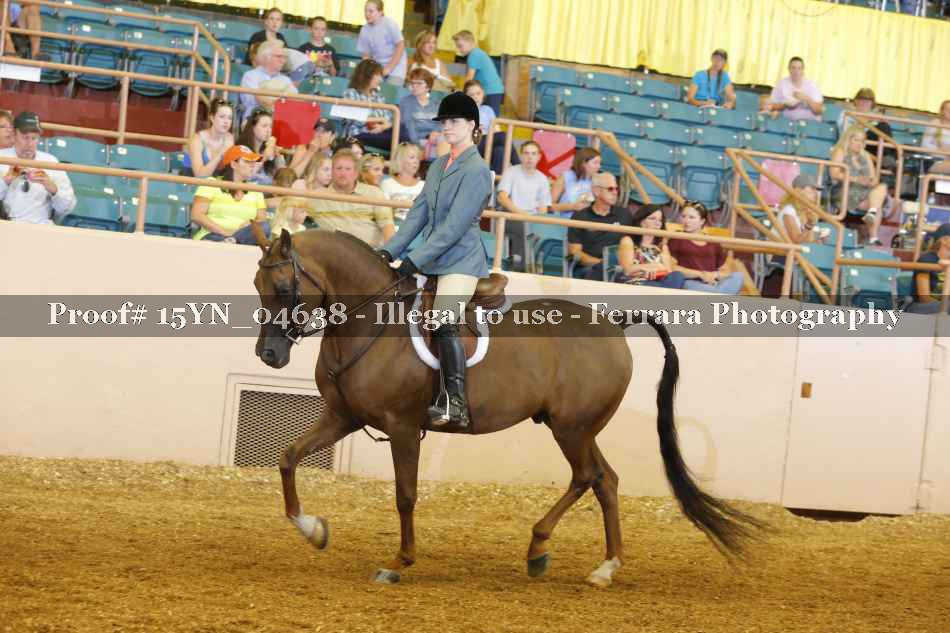 Proof 15YN_04638