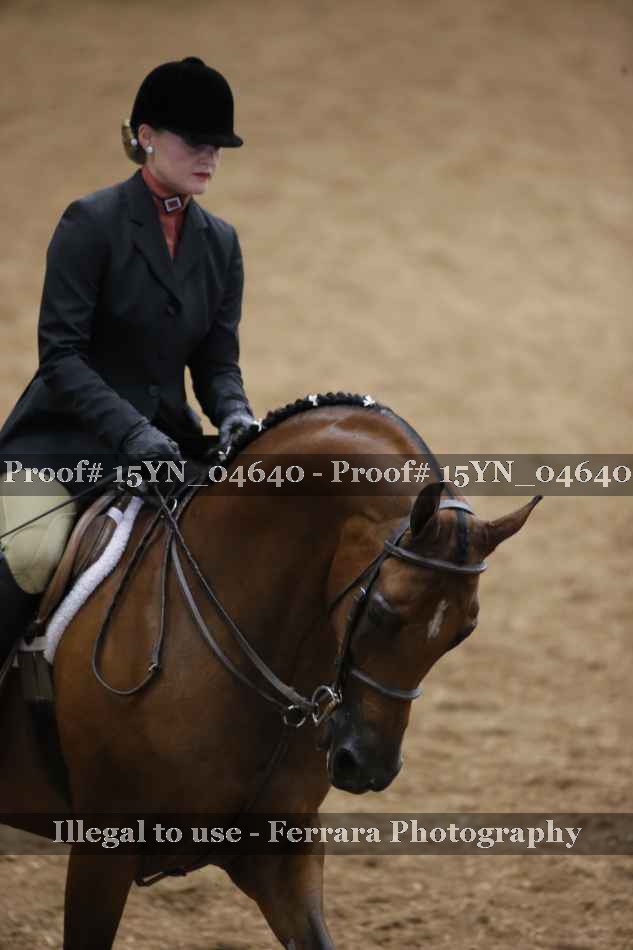Proof 15YN_04640