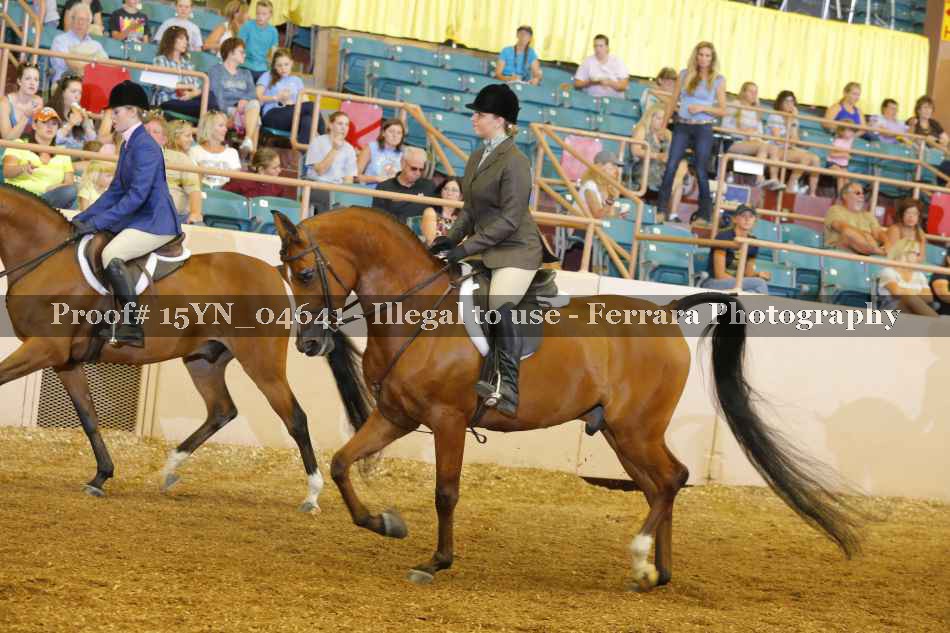 Proof 15YN_04641