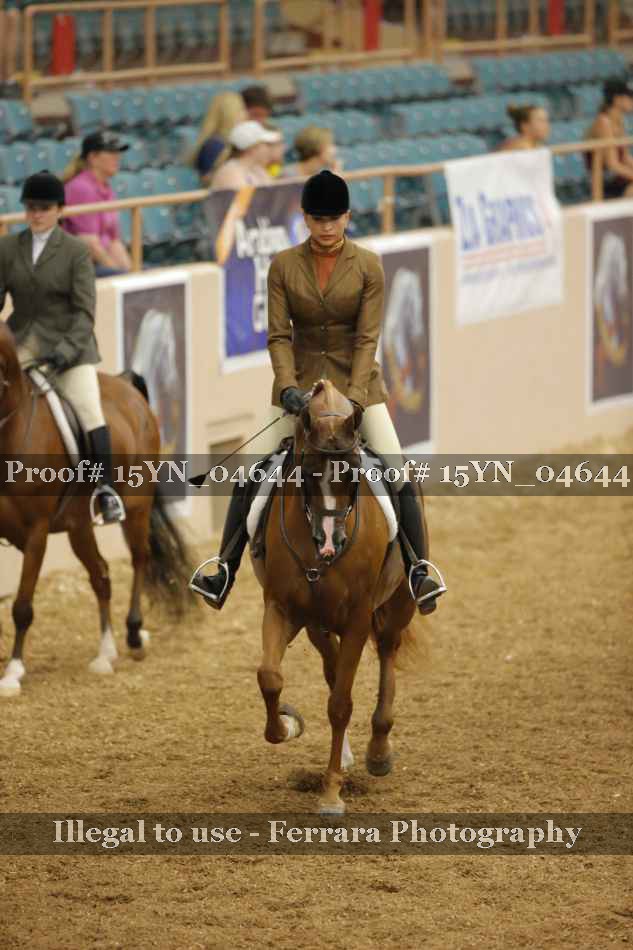 Proof 15YN_04644