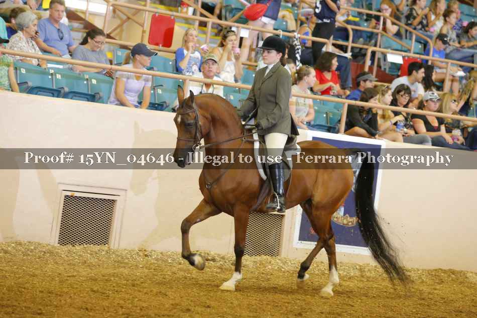 Proof 15YN_04646