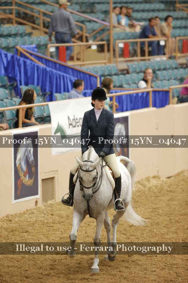 Proof 15YN_04647