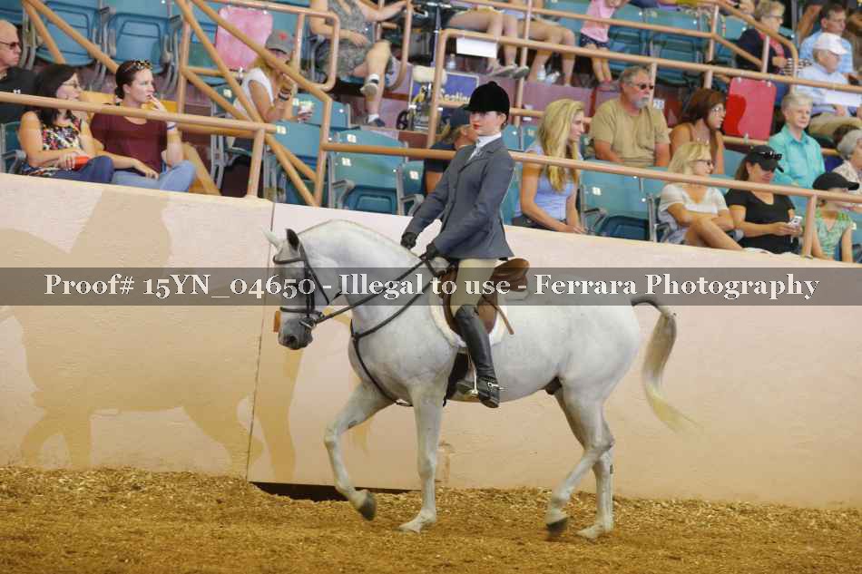 Proof 15YN_04650