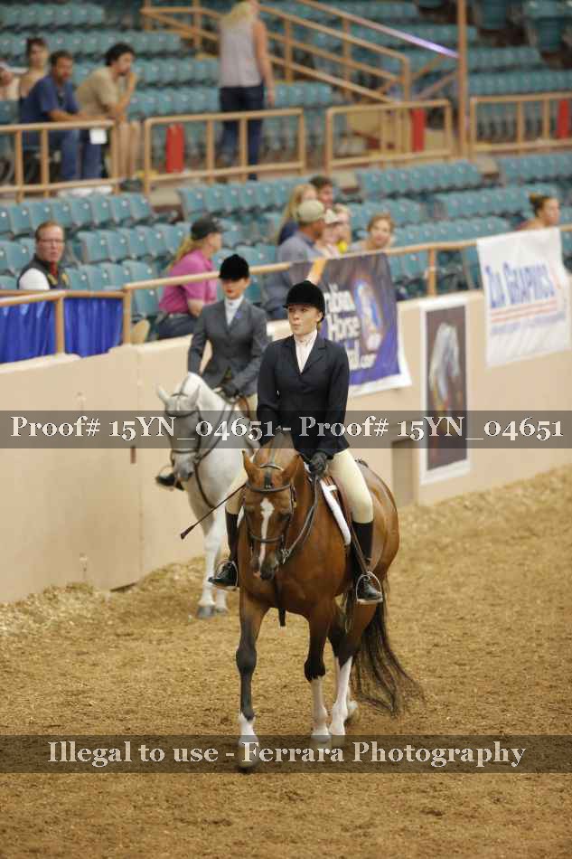 Proof 15YN_04651