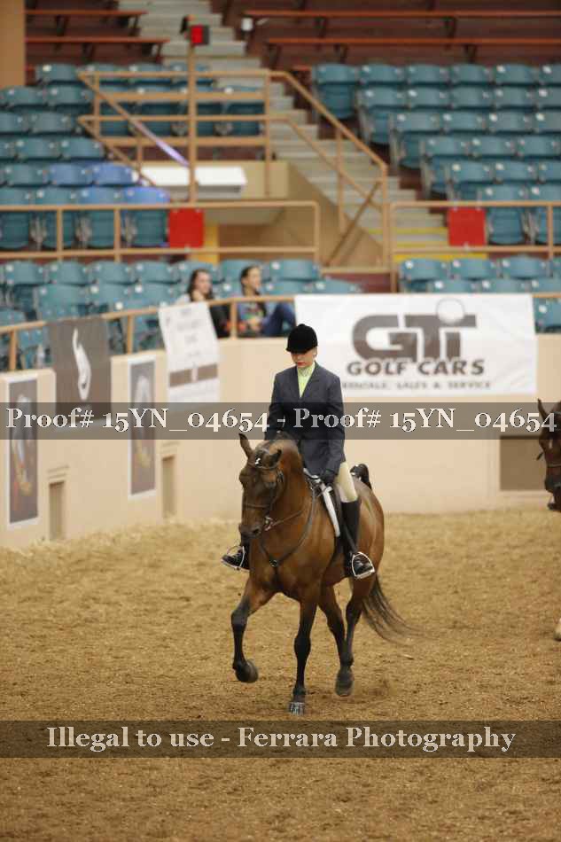 Proof 15YN_04654