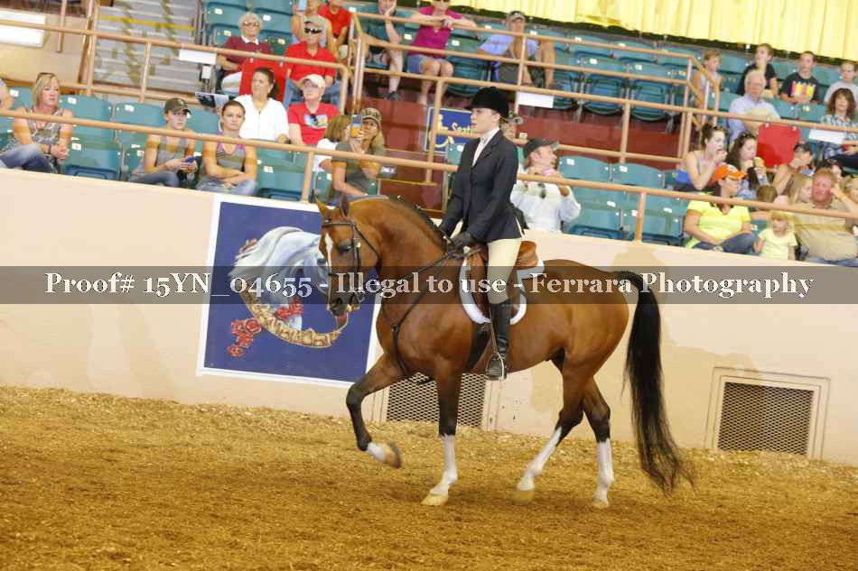Proof 15YN_04655