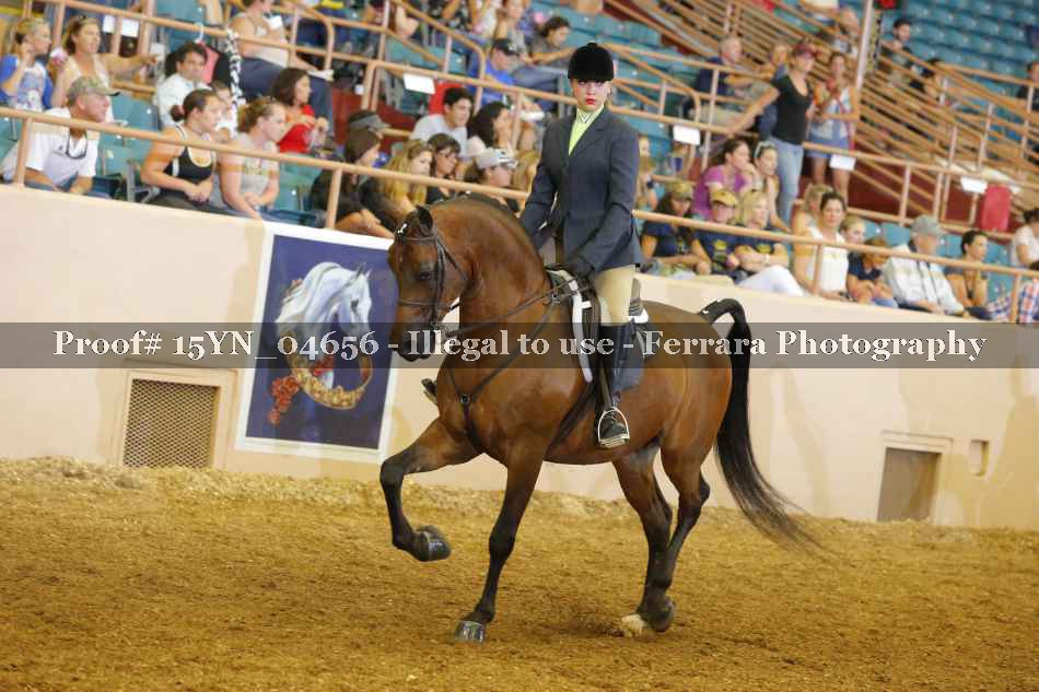 Proof 15YN_04656
