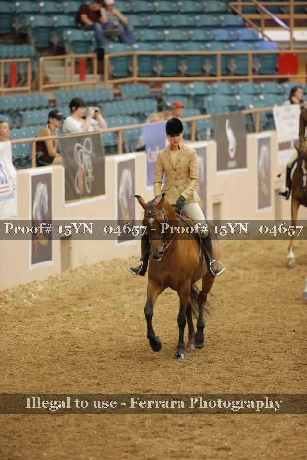 Proof 15YN_04657