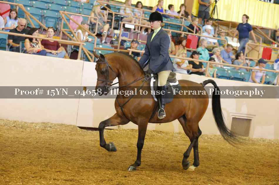 Proof 15YN_04658