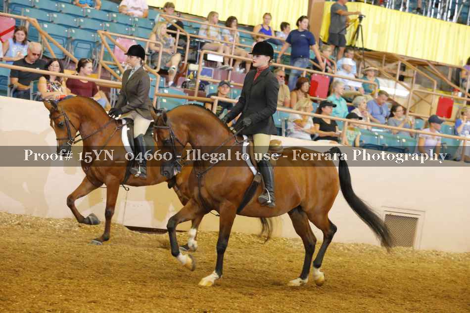 Proof 15YN_04660