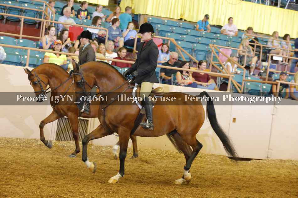 Proof 15YN_04661