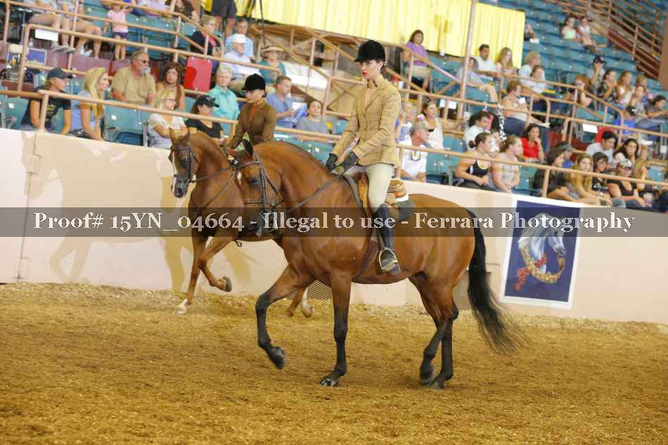 Proof 15YN_04664