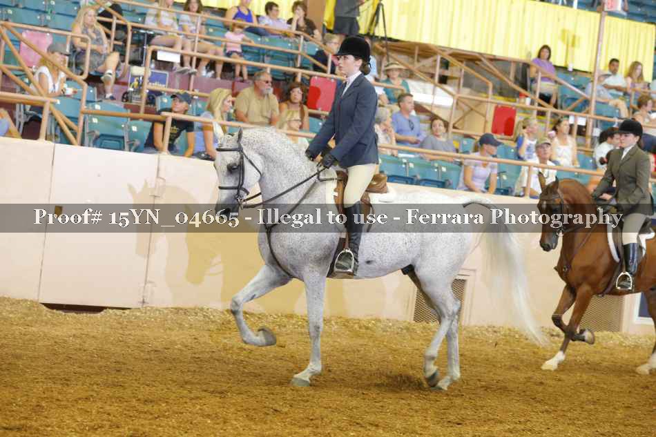 Proof 15YN_04665