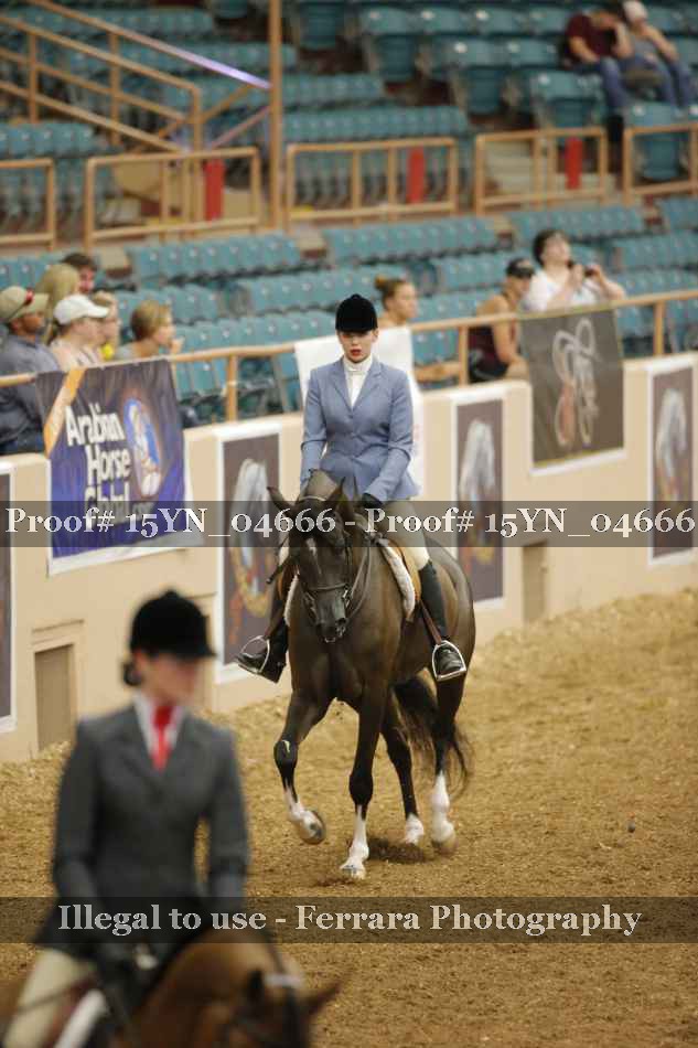 Proof 15YN_04666
