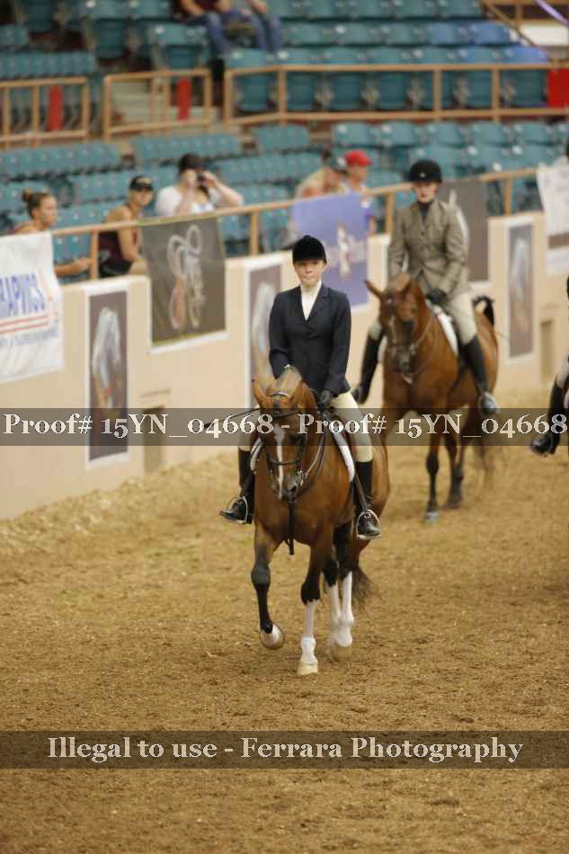 Proof 15YN_04668