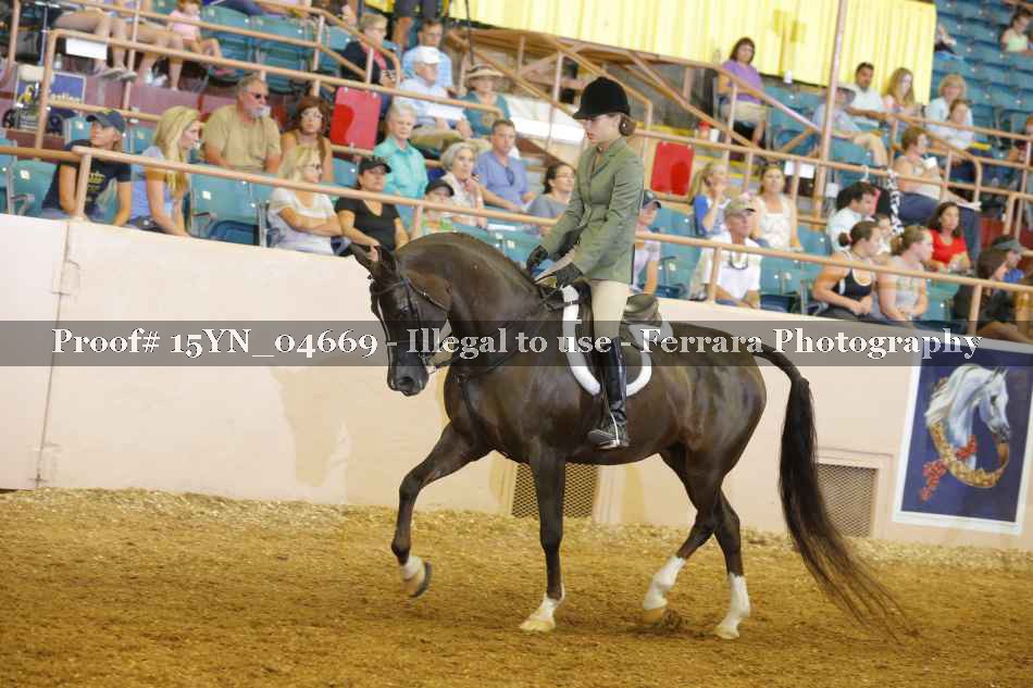 Proof 15YN_04669