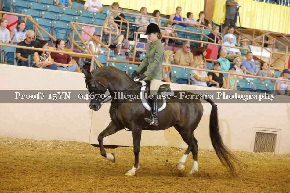 Proof 15YN_04670
