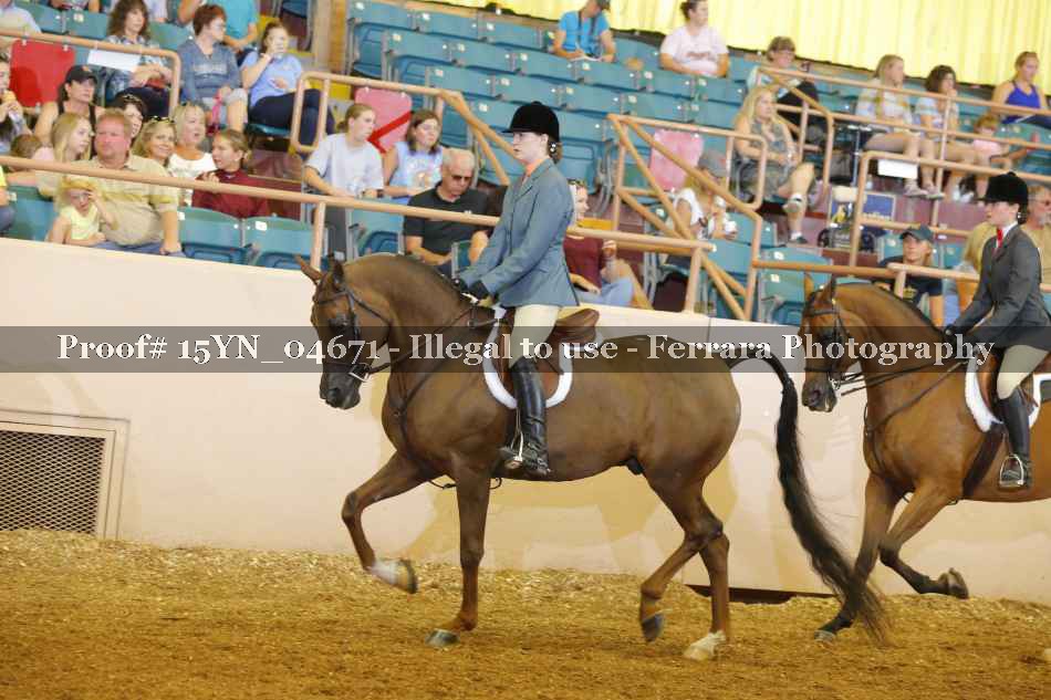 Proof 15YN_04671