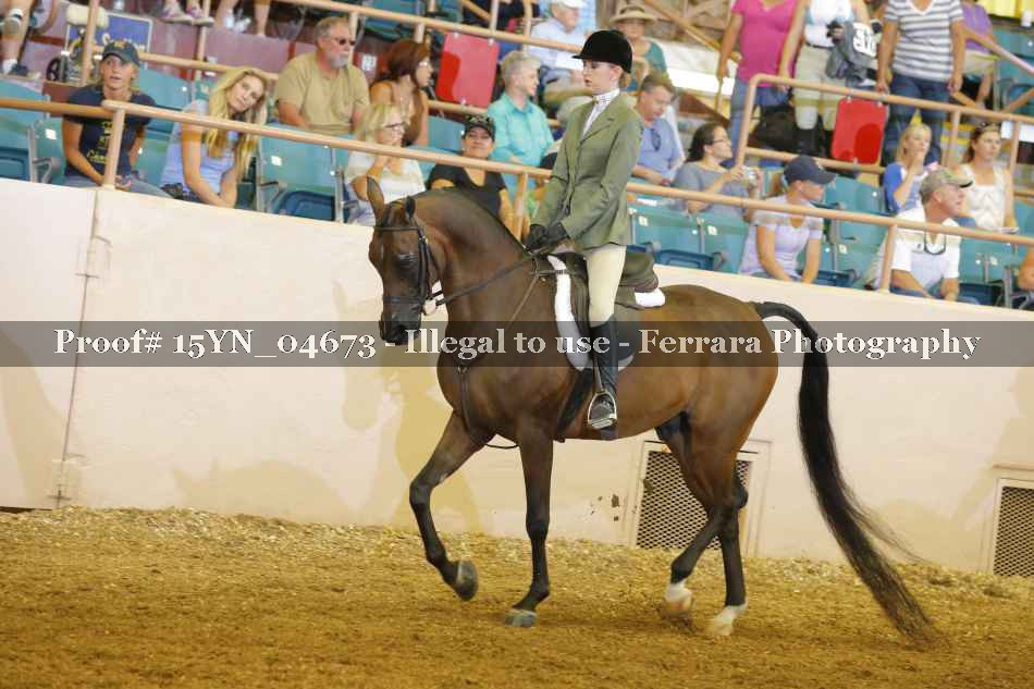 Proof 15YN_04673