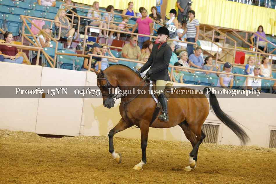 Proof 15YN_04675