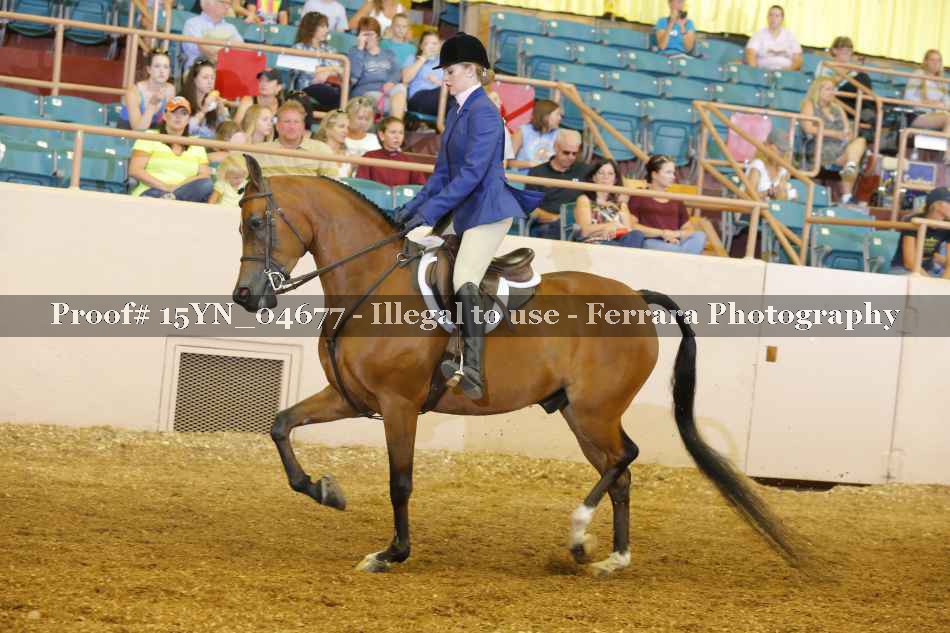 Proof 15YN_04677