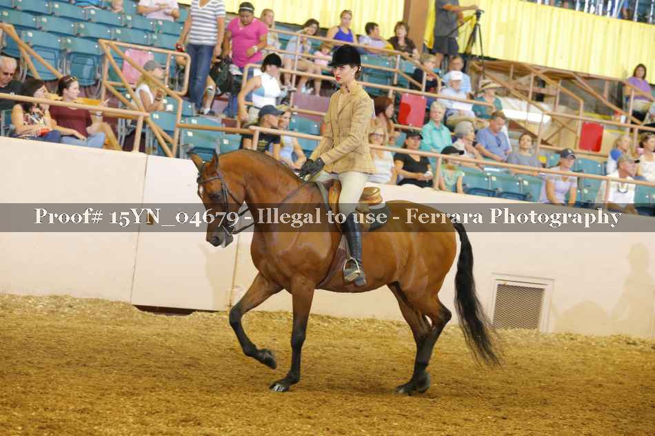 Proof 15YN_04679