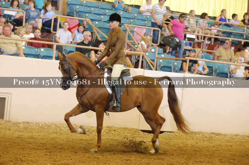 Proof 15YN_04681