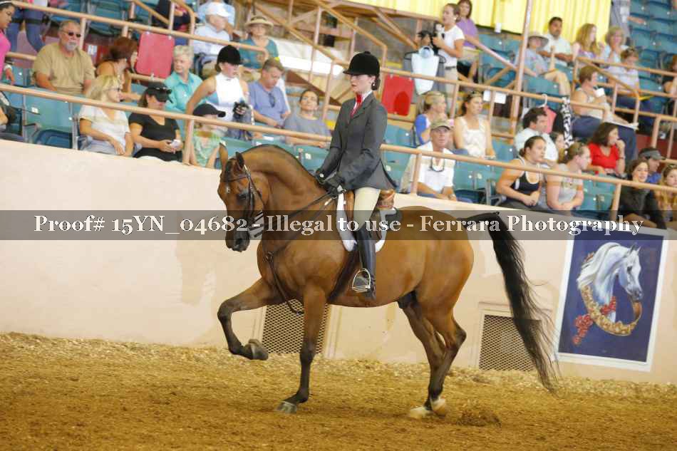 Proof 15YN_04682