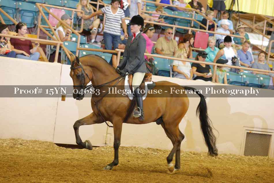 Proof 15YN_04683
