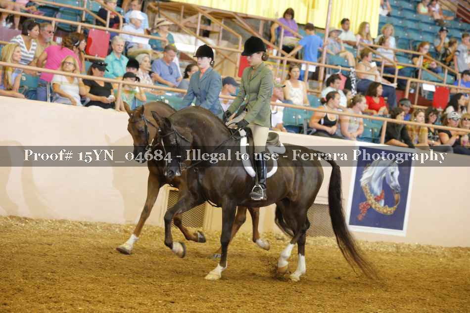 Proof 15YN_04684