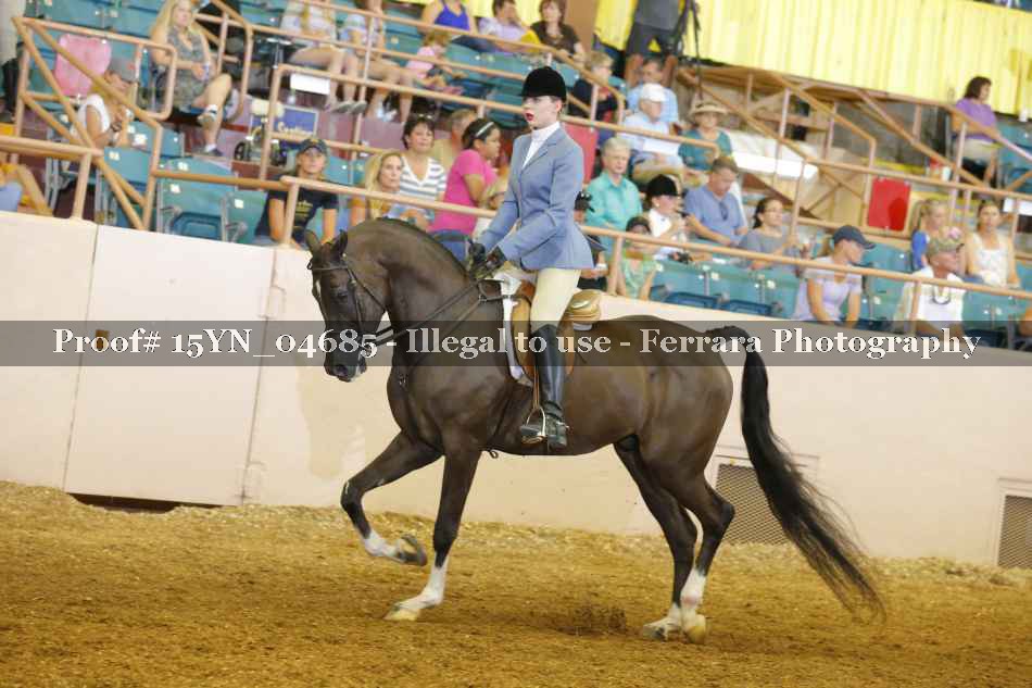 Proof 15YN_04685