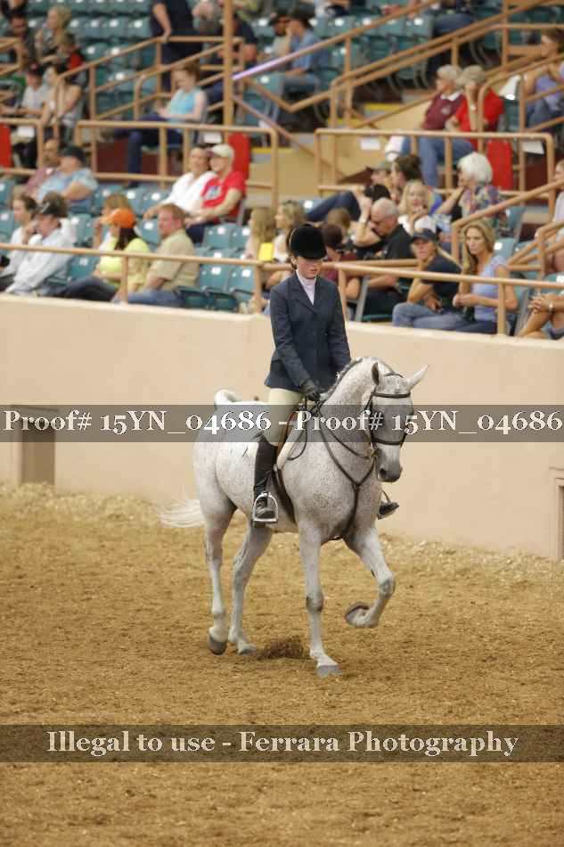 Proof 15YN_04686