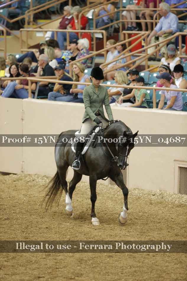 Proof 15YN_04687