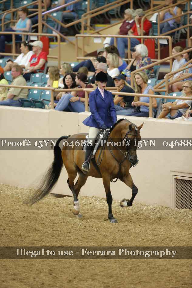Proof 15YN_04688