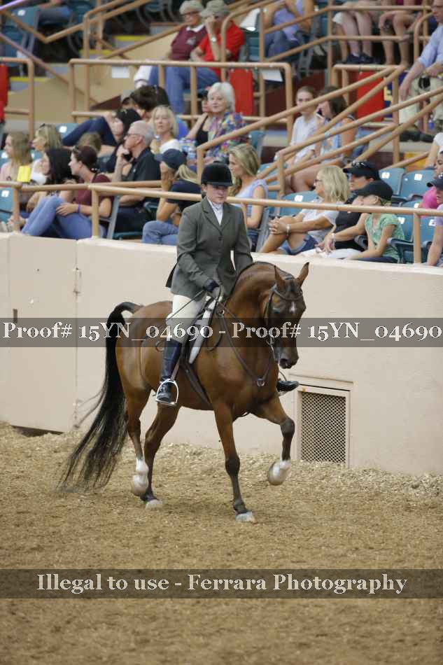 Proof 15YN_04690