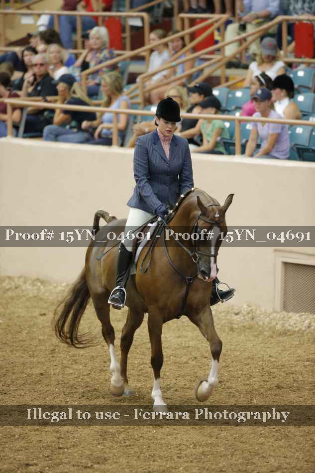 Proof 15YN_04691