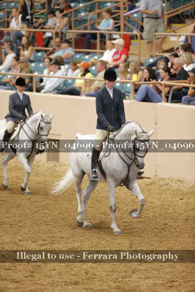 Proof 15YN_04696