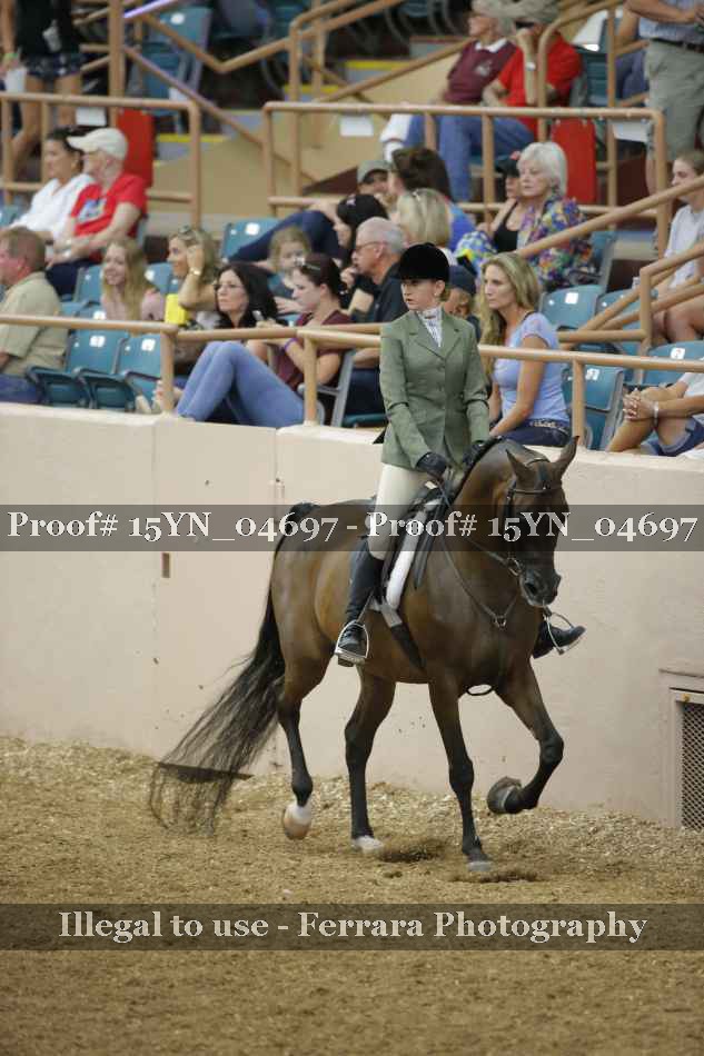 Proof 15YN_04697