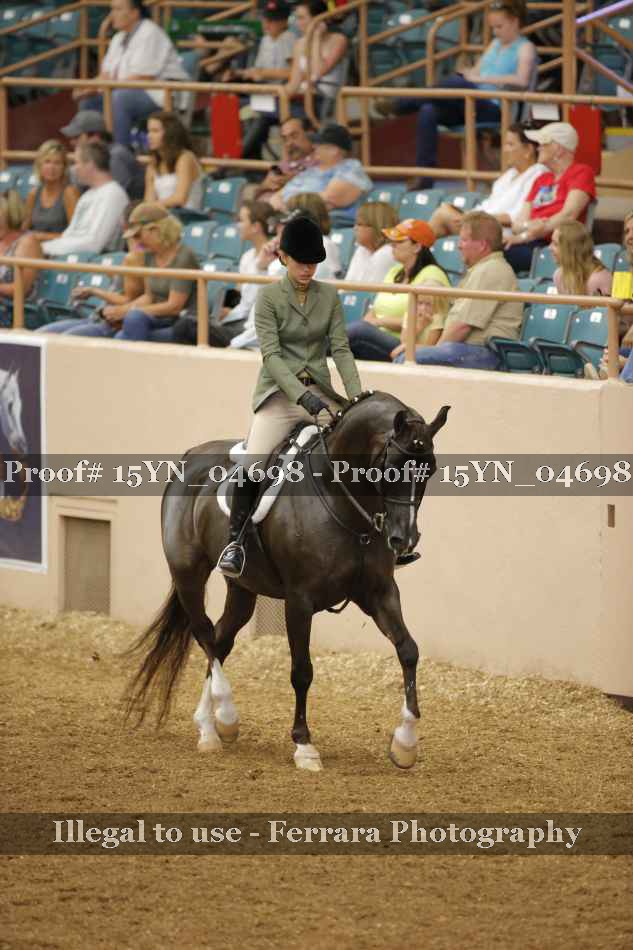 Proof 15YN_04698