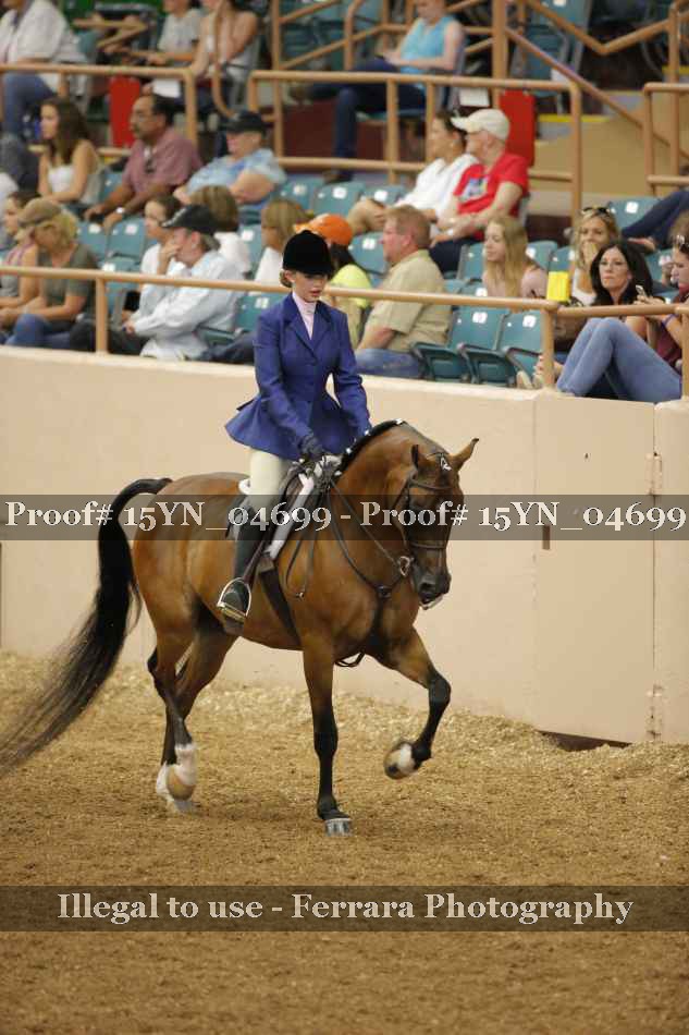 Proof 15YN_04699